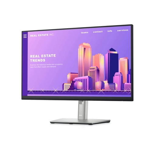 DELL - MONITOR P2422H 23.8 FULL HD VGA/DP/HDMI BASE AJUSTABLE (210-BBCC)