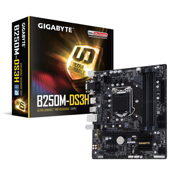 GIGABYTE - GIGABYTE GA-B250M-DS3H INTEL B250 LGA 1151 MICRO ATX (GA-B250M-DS3H)
